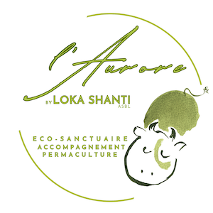 logo-laurore-ok 300
